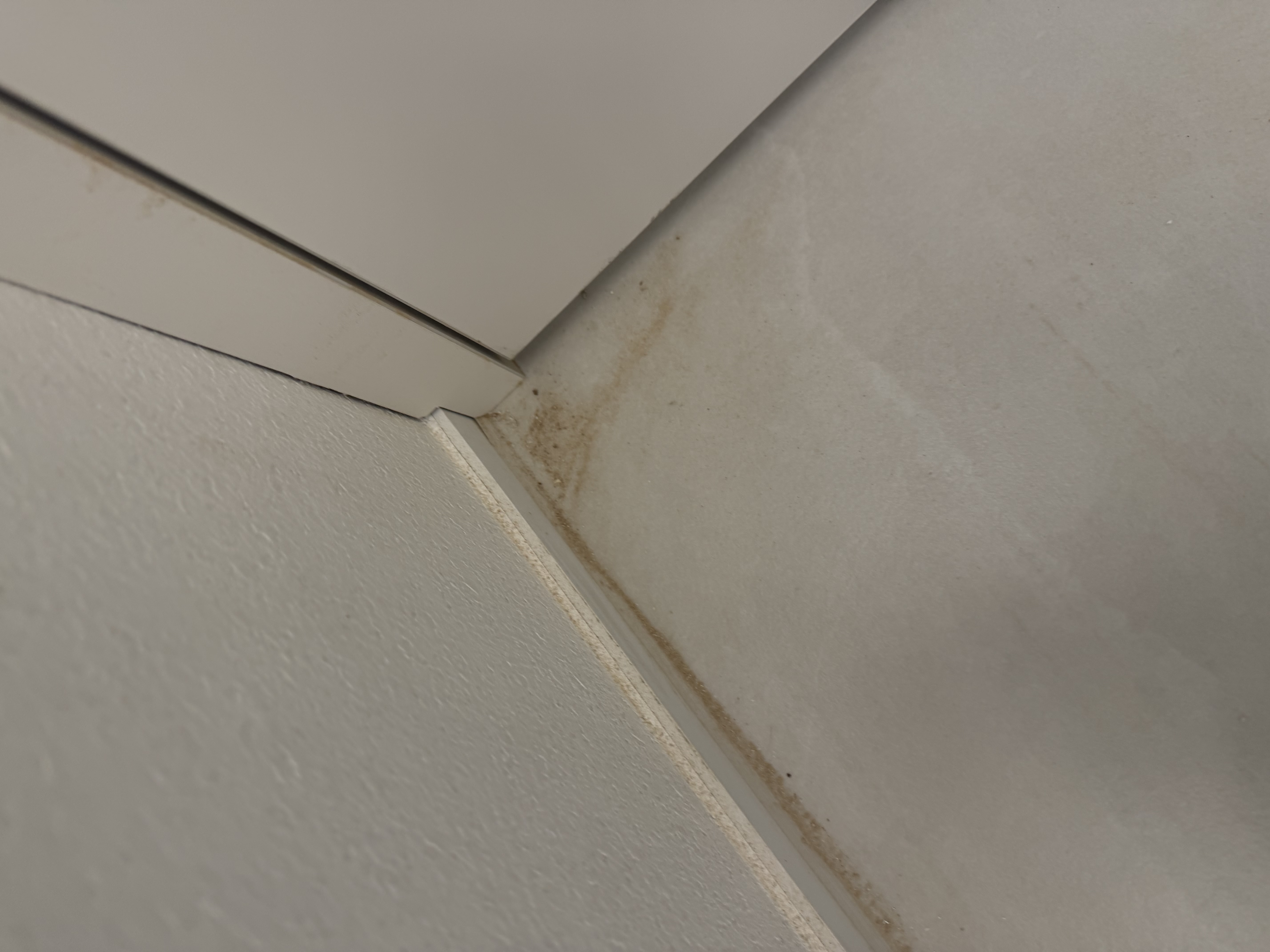 구석 먼지 뭉치