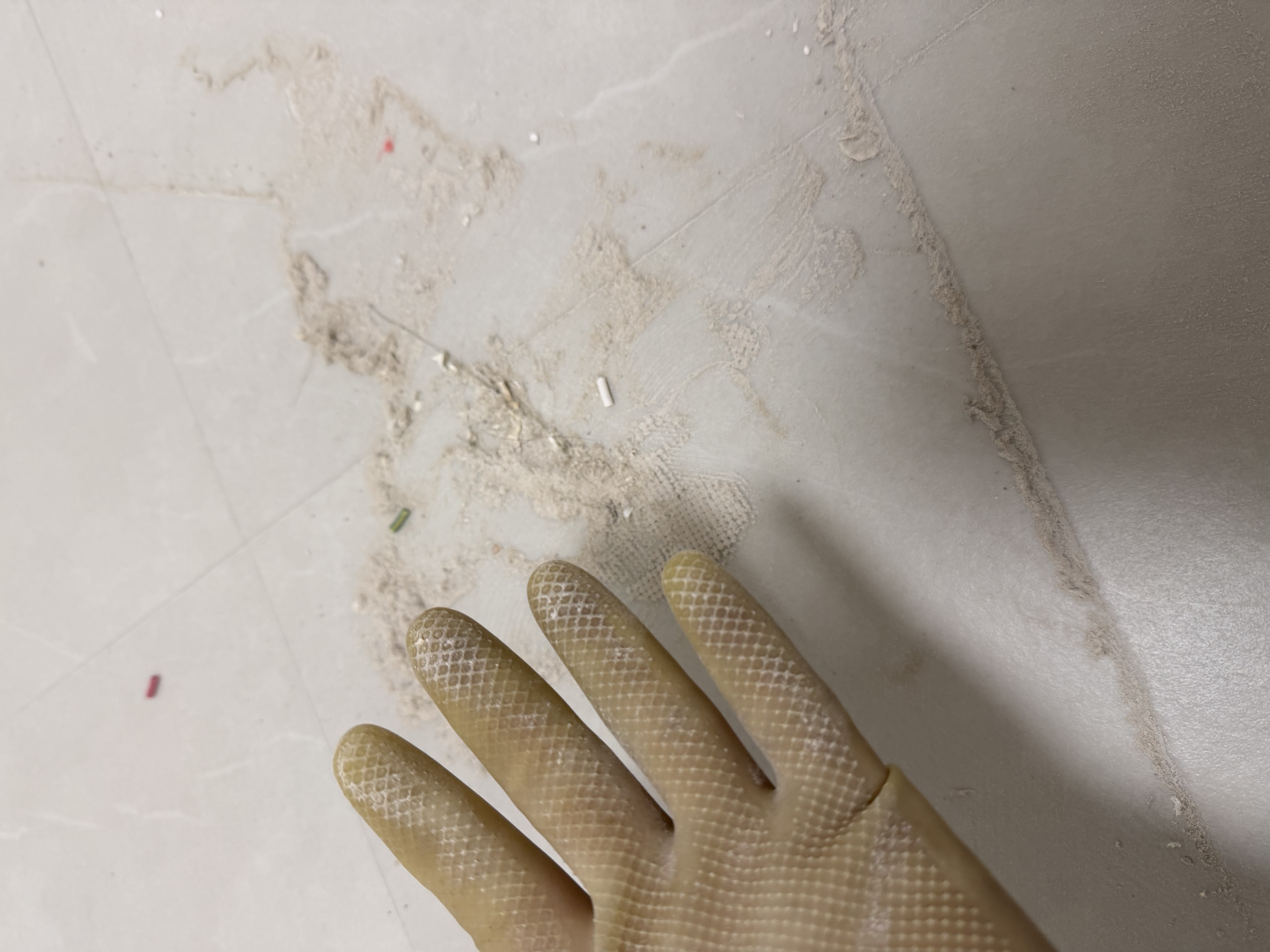 안양 입주청소 후기 | 비포에프터클린, 추가금 63만원의 결과가 이렇다고?